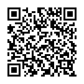 QR d53afe2
