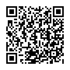 QR d541f9e