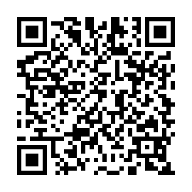 QR d86413e