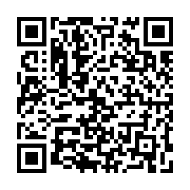 QR d867a2a