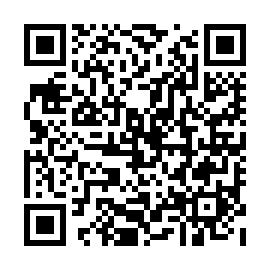 QR d91be4c