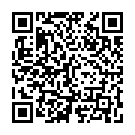 QR dca0599