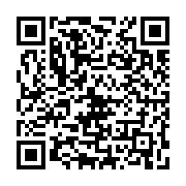 QR ddba411