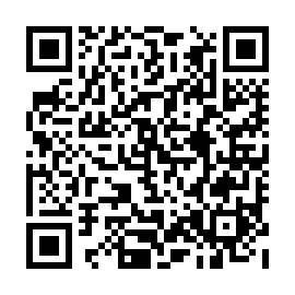 QR ddd9133