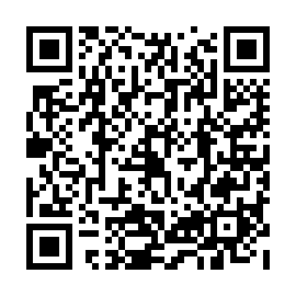 QR e11c385