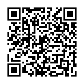 QR e11fce7