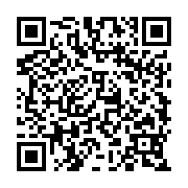 QR e128334