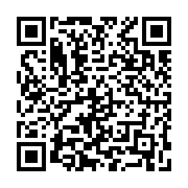 QR e13d131
