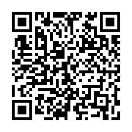 QR e173b29