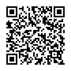QR e219e2b