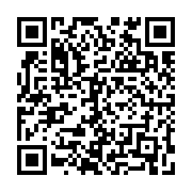 QR e271383