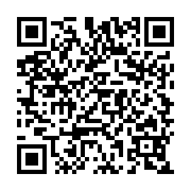 QR e293875