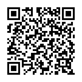 QR e29b907