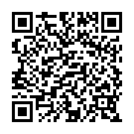 QR e311267