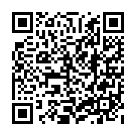 QR e311863