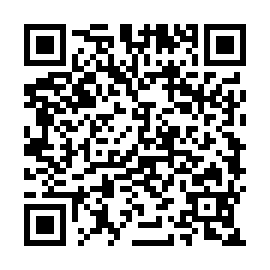 QR e313ab4