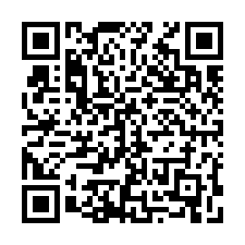 QR e313f1b