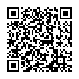QR e317b39