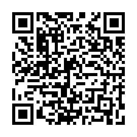 QR e318e17