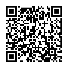 QR e33619b