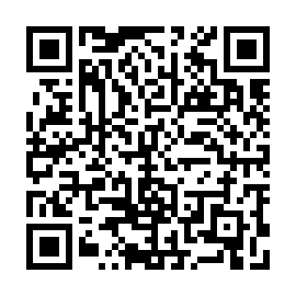 QR e338a06