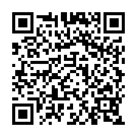 QR e339741