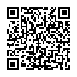 QR e33b3b6