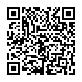 QR e33f4b0