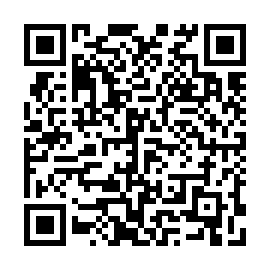QR e36c233