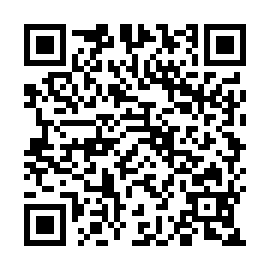 QR e381c2a