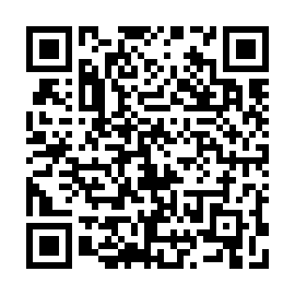 QR e38589b