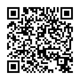 QR e411d29