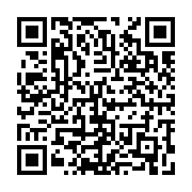 QR e411f6f