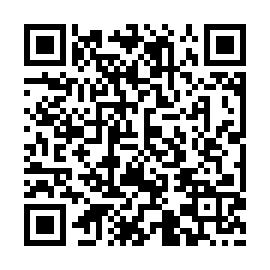 QR e4133e3