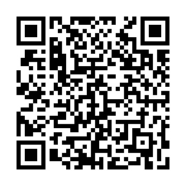 QR e4154d2