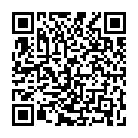 QR e41e528