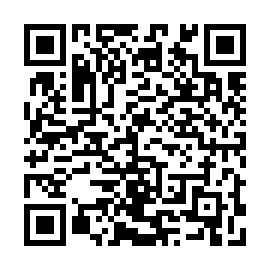 QR e456238