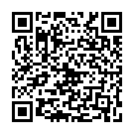 QR e45d2b1