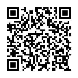 QR e46498b