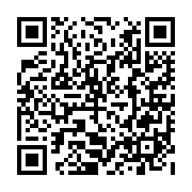 QR e4d29e3