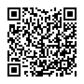 QR e520a95