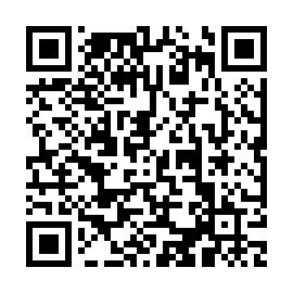 QR e53a4e2