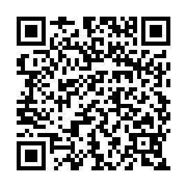 QR e53eb17