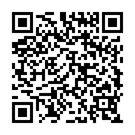QR e53fed4