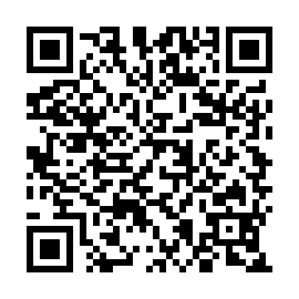 QR e659355