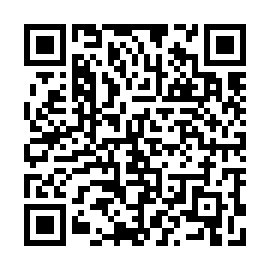 QR e785866