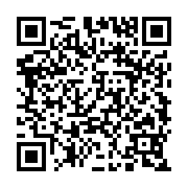 QR e81a10d