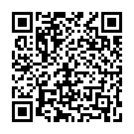 QR e81b77a