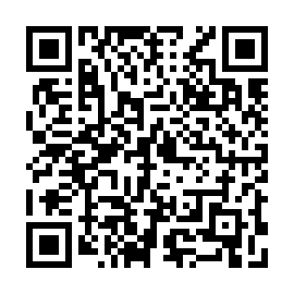 QR e81f339