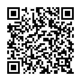 QR e82e17b